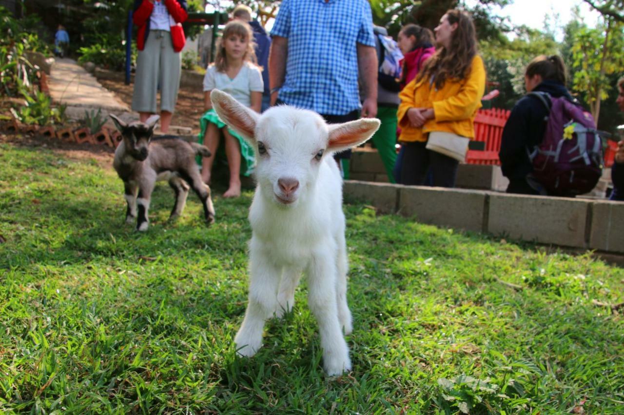Mtubatuba Cheese Farm & Lodge מראה חיצוני תמונה