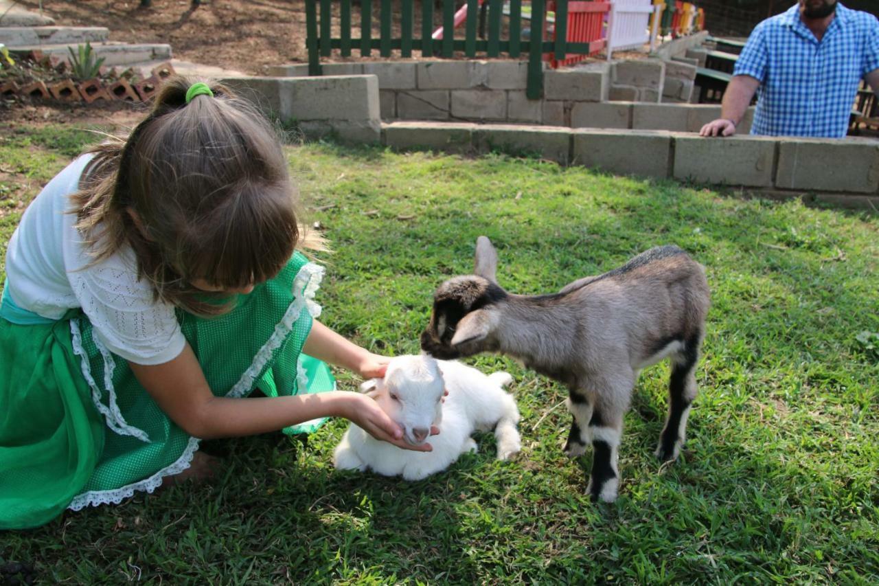 Mtubatuba Cheese Farm & Lodge מראה חיצוני תמונה